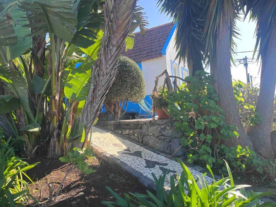 Lucky Lemons Boutique Houses Madeira 1 Calheta  Exterior foto
